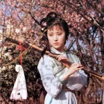 陈晓旭《红楼梦》