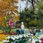 纪念陈晓旭去世10周年