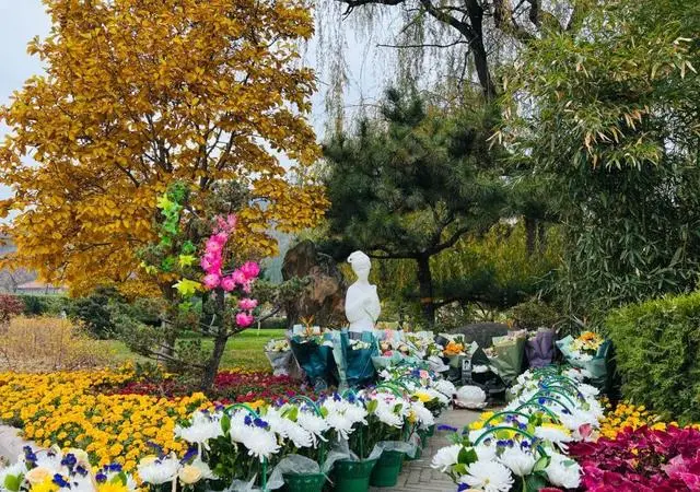 纪念陈晓旭去世10周年