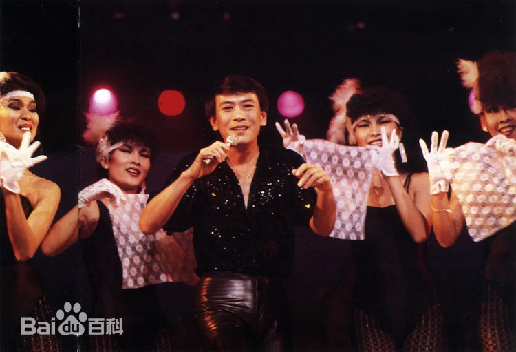 罗文的1977-1980年