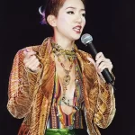 梅艳芳舞台照